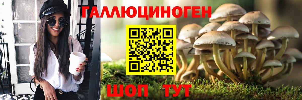 Усть-Илимск  где продают наркотики  Вход с VPN  Псилоцибиновые грибы мицелий 